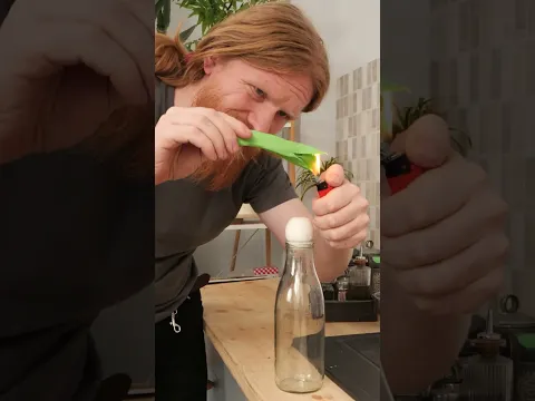 When the bottle decides to eat the egg
