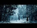 Trapcode Particular Snow Particules - By LightArts 1080p60