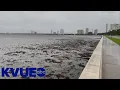 Why did Hurricane Ian suck water out of Tampa Bay? | KVUE