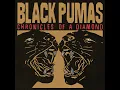 Angel - Black Pumas