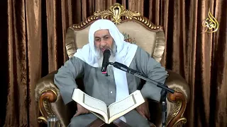 تفسير قوله تعالى والله خلق كل دآبة من مآء الشيخ مصطفى العدوي 