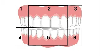 bpe examination ore mfds lds guide