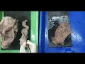 Demonstration of Rectum Anal Canal - Dr Amit Magadum