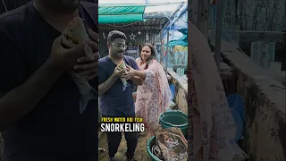 Fresh Water Koi Pond | Snorkeling in India | Anvitha Vlogs