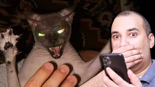 قصص مرعبة حقيقية من المتابعين هتطير النوم من عينك قصص مخيفة Osha Salah قصص 