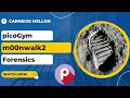 picoGym picoCTF Exercise m00nwalk2
