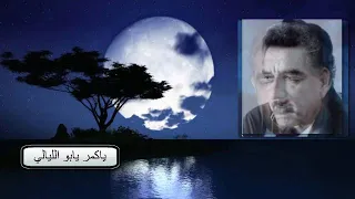 محمد جواد أموري    ياكمر يابو الليالي    مونتاج  علاء الأديب دندنها