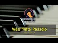 Download Lagu KARAOKE WAE MATA PASSOLO - CIPT. ANSAR. S