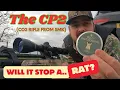 SMK CP2 test can a Co2 powered rifle stop a rat Final pellet decision