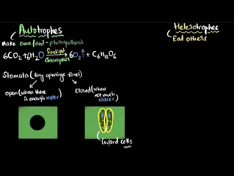Autotrophic and heterotrophic nutrition Life processes Class 10 Biology Khan Academy - Science video for Grade 10