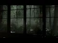 Relaxing Rain Sounds and Thunder Sounds - Rain on Window Rain in Forest at Night