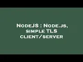 NodeJS Node js simple TLS