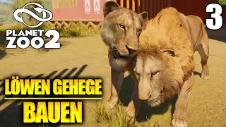 Meine ersten LÖWEN bekommen direkt Nachwuchs! | Planet Zoo 2