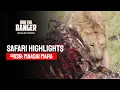 Download Lagu Safari Highlights #839: 11 \u0026 12 September 2025 | Lalashe Maasai Mara | Latest #Wildlife Sightings