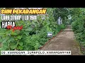 Lagu MURAH‼️ Tanah SHM Pekarangan 376m² Dekat Jalan – Cuma 95 Juta!