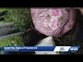 Wanted man accused of attacking Lee County Sheriff s Office K-9 during arrest