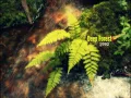 Download Lagu Deep Forest - Full Album - 1992 - The First Album
