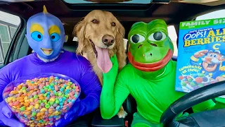 Frog Surprises Fish & Puppy With Car Ride Chase