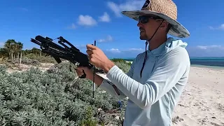 Crossbow Testing & Beach Building (Day 17/100 Day Water World Challenge)