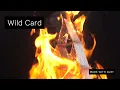 Wild Card - Jayree