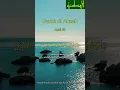 Download Lagu Beautiful Recitation|| Surah Al Ahzab Ayat 40 ||KH.Muammar Z.A.