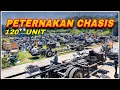 Download Lagu Begini Kondisi Lapangan Chasis Laksana September 2025!