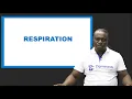BIOLOGY CELLULAR RESPIRATION EXAM GUIDE LEARNING HUB ZIGMATECH CONSULT LIMITED EXAMGUIDE