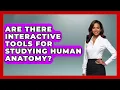Are There Interactive Tools for Studying Human Anatomy All About Anatomy Answers News