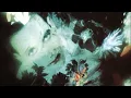 Download Lagu The Cure - Pictures of You - 1 hour