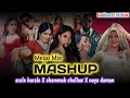 Download Lagu Mega Mix (MASHUP) Song 2025 - Badhon07 Official