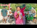Download Lagu 🔴 KANGEN WAKTU JUALAN DULU || TERNYATA SEKARANG HARGA SAYURAN SUDAH BANYAK YANG BERUBAH