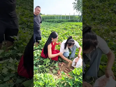 They Tried to Fool Their Boss! 🤣 #hindidrama #funnyvideo #familydrama