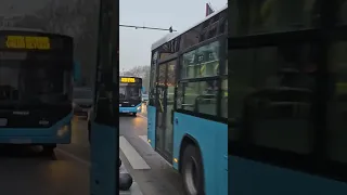                                                        دندنها