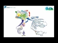 Using Mind Maps to reduce stress and unleash creativity