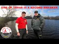 Download Lagu Feedermasters Winter Pairs 3 | This is an absolute beauty | Hallcroft Fisheries | Live Match Fishing
