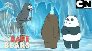 Os ursos nunca sabem o que pode acontecer | Ursos sem Curso | Cartoon Network