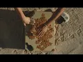 PIECES (+ LUCKY DAYE) - VISUALIZER - LEVEN KALI