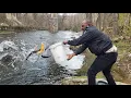 Stocking Trout in Pennypack Creek Co B-roll