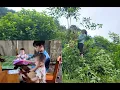 Download Lagu foster mother went to cut trees to prepare for farming, children stayed home