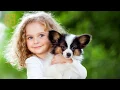Find Your Perfect Match At Petland Lewis Center