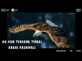 Download Lagu KU KAN TERBANG TINGGI BAGAI RAJAWALI COVER + VIDEO LIRIK