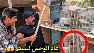 حيوان مفترس يقتحم صطح المنزل // تحذير هام جداا⁉️😱