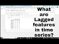 Lagged or shifted features in time series