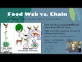 APES Notes 1 11 - Food Webs Chains