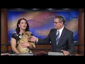 ANCHOR REEL MORGAN ASHLEY
