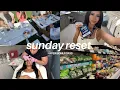 living alone diaries sunday reset maintenance