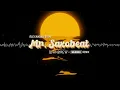 Lagu Alexandra Stan - Mr. Saxobeat (DJ ANDREW x SINDRIX REMIX)