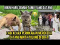 Lagu Kucing Ini Datang Ke Pesta Pernikahan Meminta Tolong Untuk Di Obati Bikin Haru Semua Orang..‼️