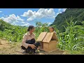 Download Lagu Build a little house for the guard dog and a day of harvesting green vegetables
