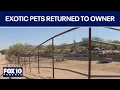 Dozens of seized exotic animals to be returned to owner FOX 10 Phoenix